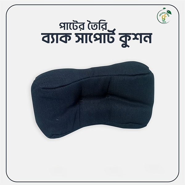 Back Support Cushion (GFABSC015)